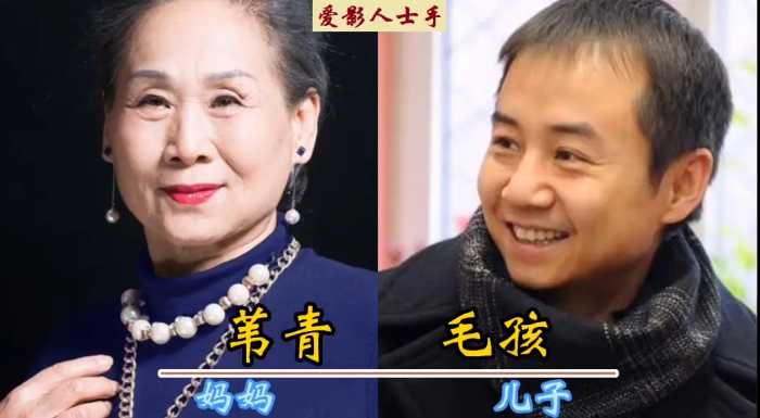 17对演员母子对比，王骁是母亲的骄傲，李玲玉的儿子长得最帅气