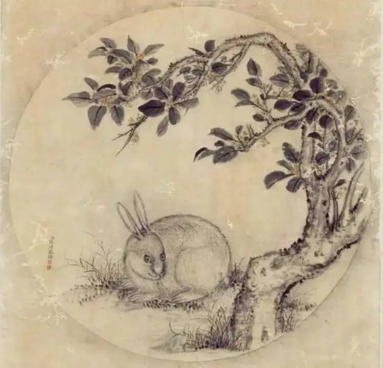 中秋说“兔”| 古代的兔子，竟然有那么多稀奇古怪的传说